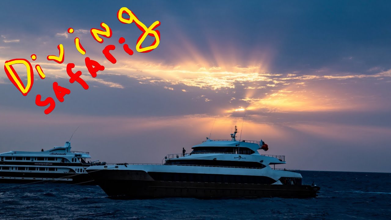 Diving Safari red sea on New Dream [1/2 part]