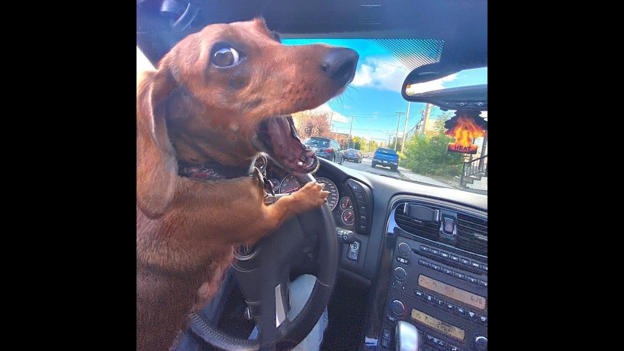 МегакрутойЭДИТ