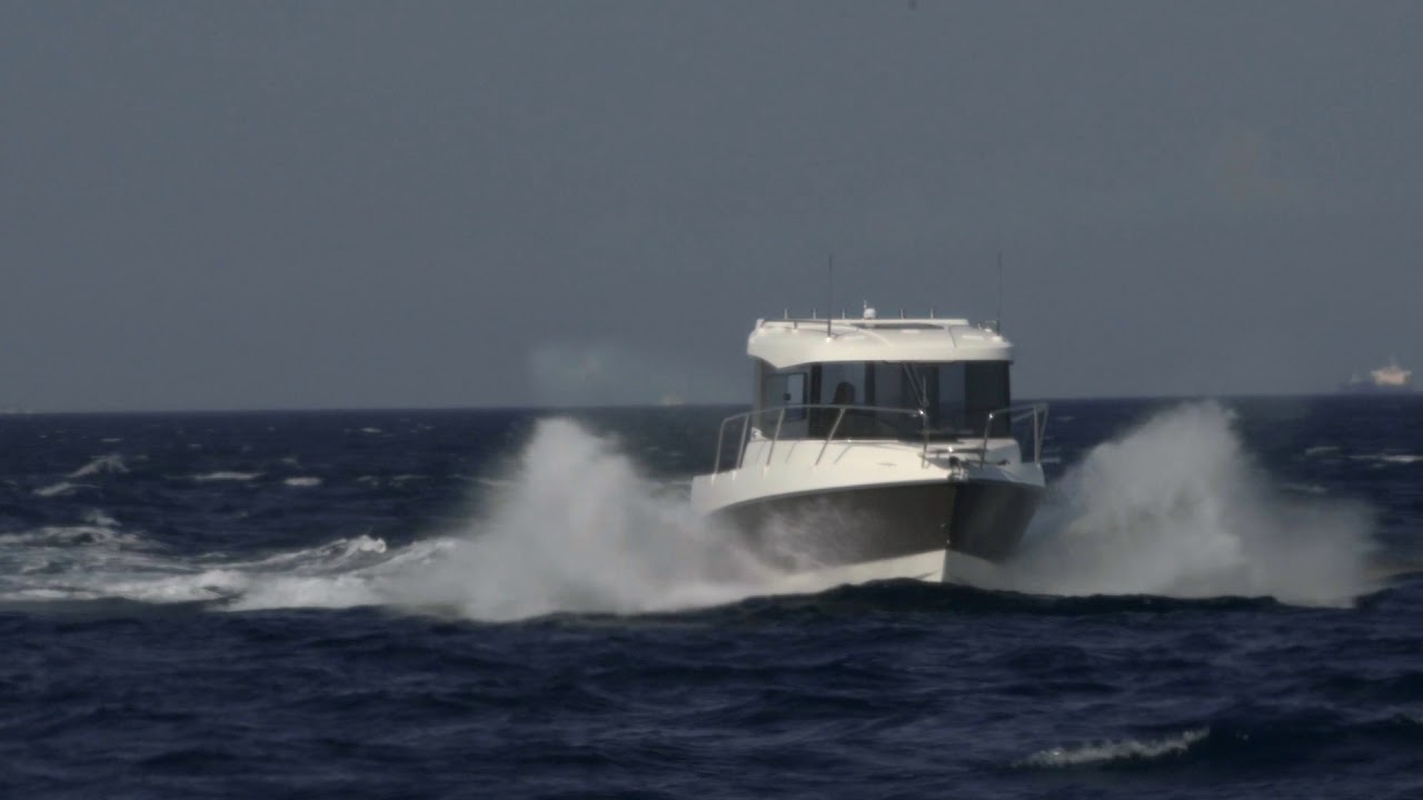 Pegazus 560