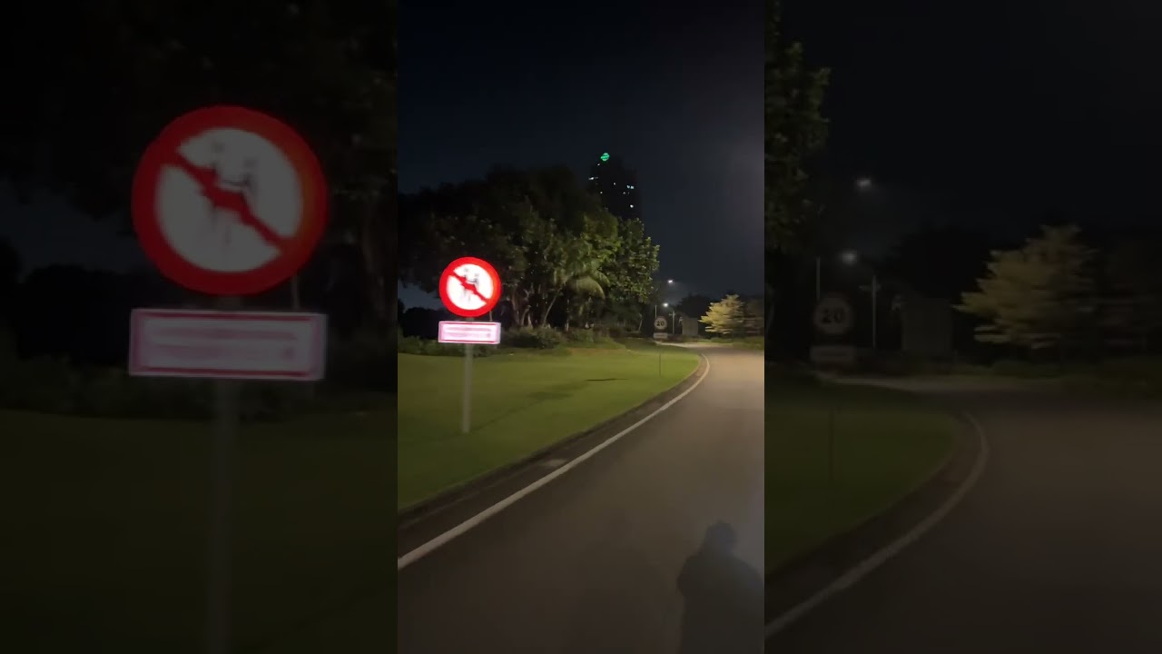 Empty streets. The way home, with Skrillex and Ellie. 