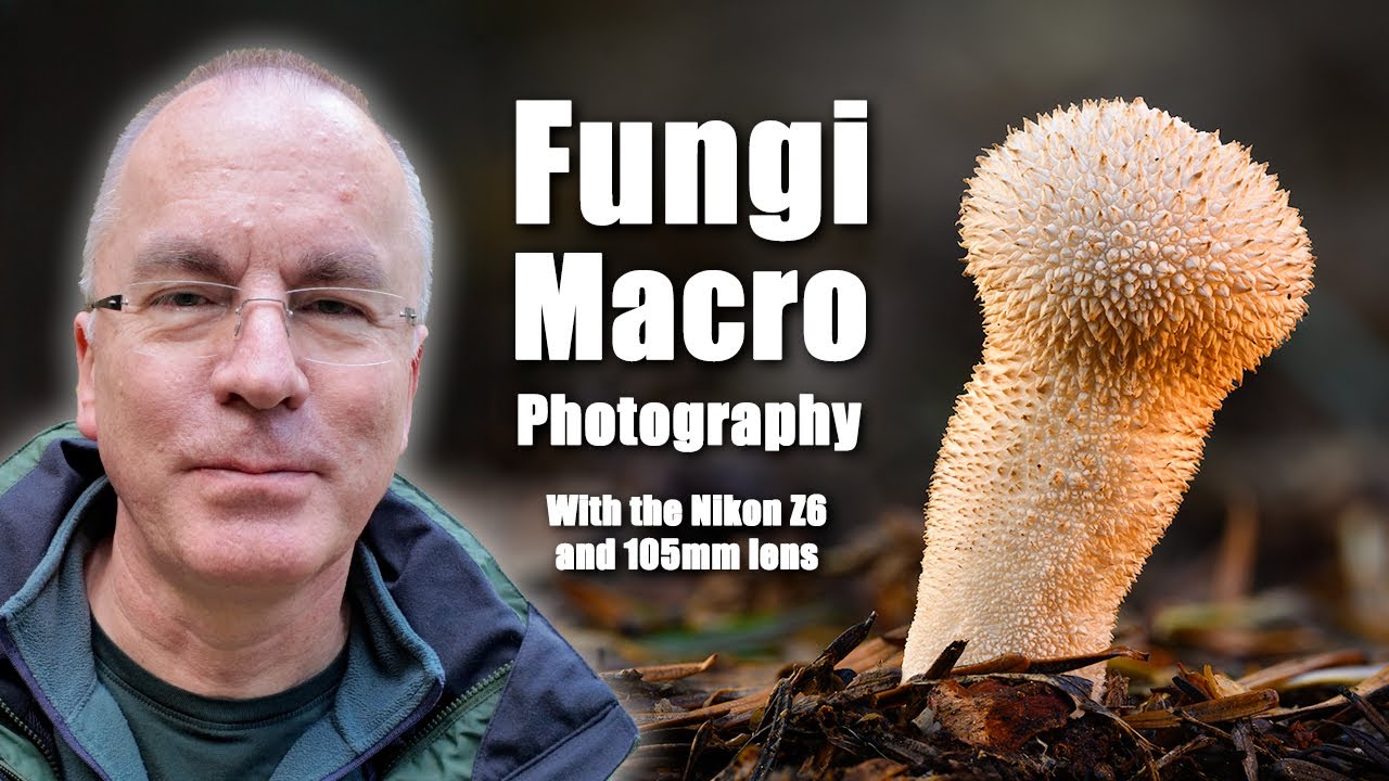 Макросъемка грибов с помощью Nikon Z6 и макрообъектива Z 105 мм