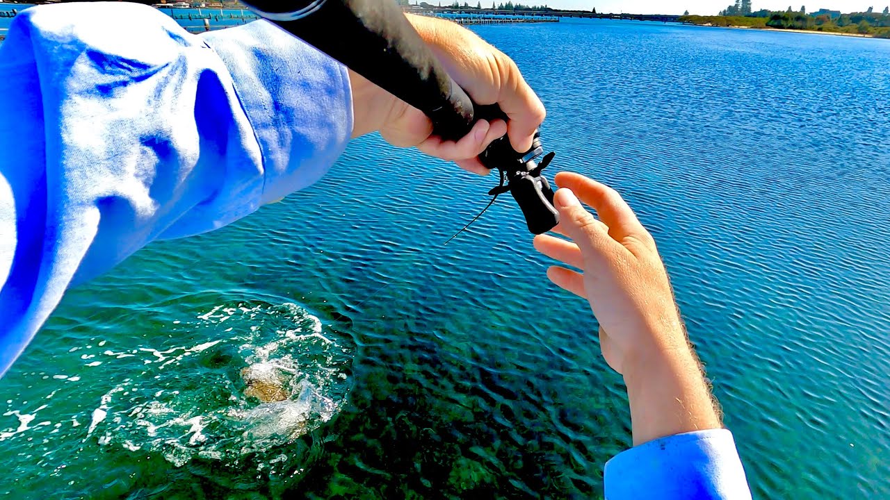 MONSTER FORSTER FLATHEAD! with Catch & Cook.