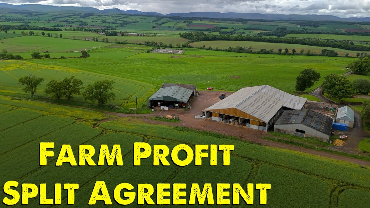 Как работает фермерский контракт?