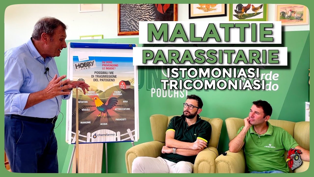 Malattie parassitarie: ISTOMONIASI E TRICOMONIASI