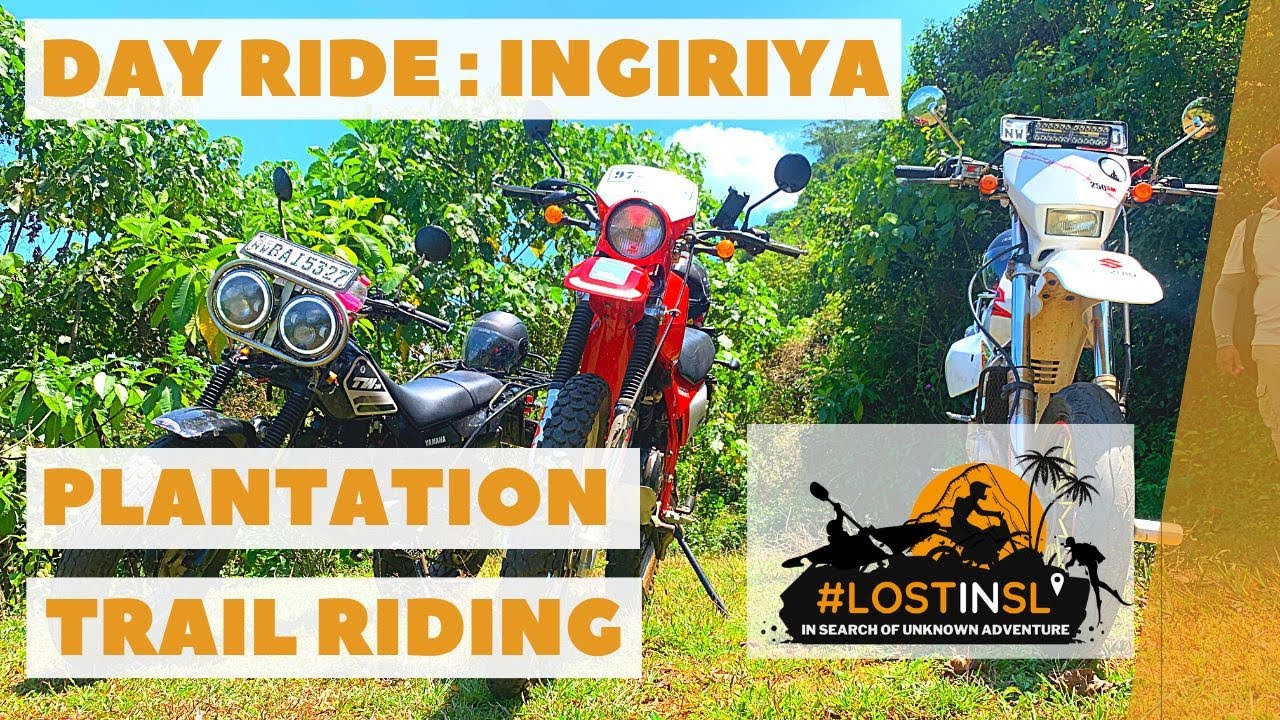 Plantation Trail Riding: Eduragala Estate, Ingiriya - vlog #1