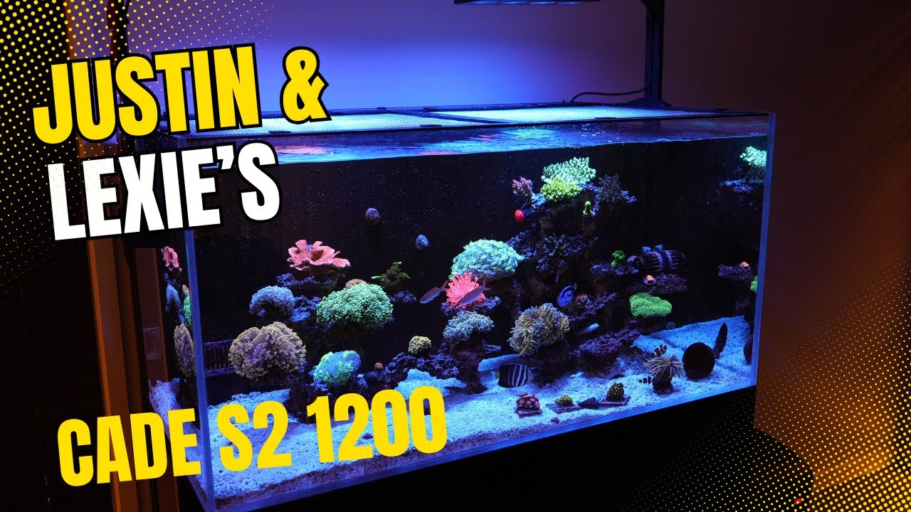 Reef Aquarium Upgrade Cade S2 1200