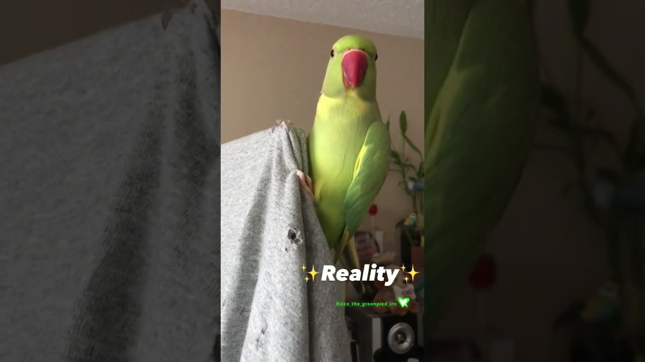 What you See on Social Media VS Reality&hellip;