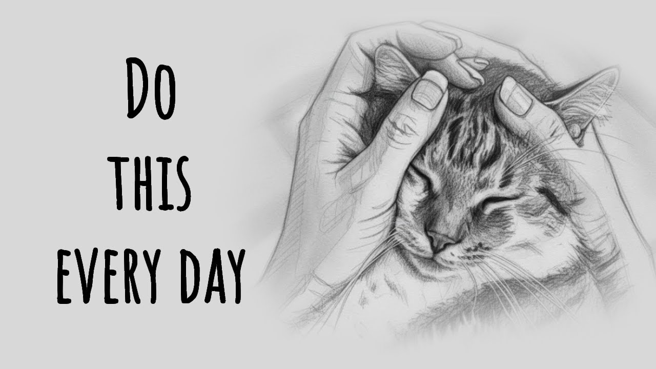 10 Hidden Signs Your Cat is Lonely (and Solutions)