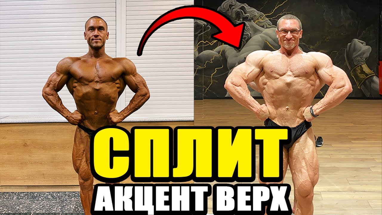 Тренировка Верха 3 Раза В Неделю (Объяснение Сплита)