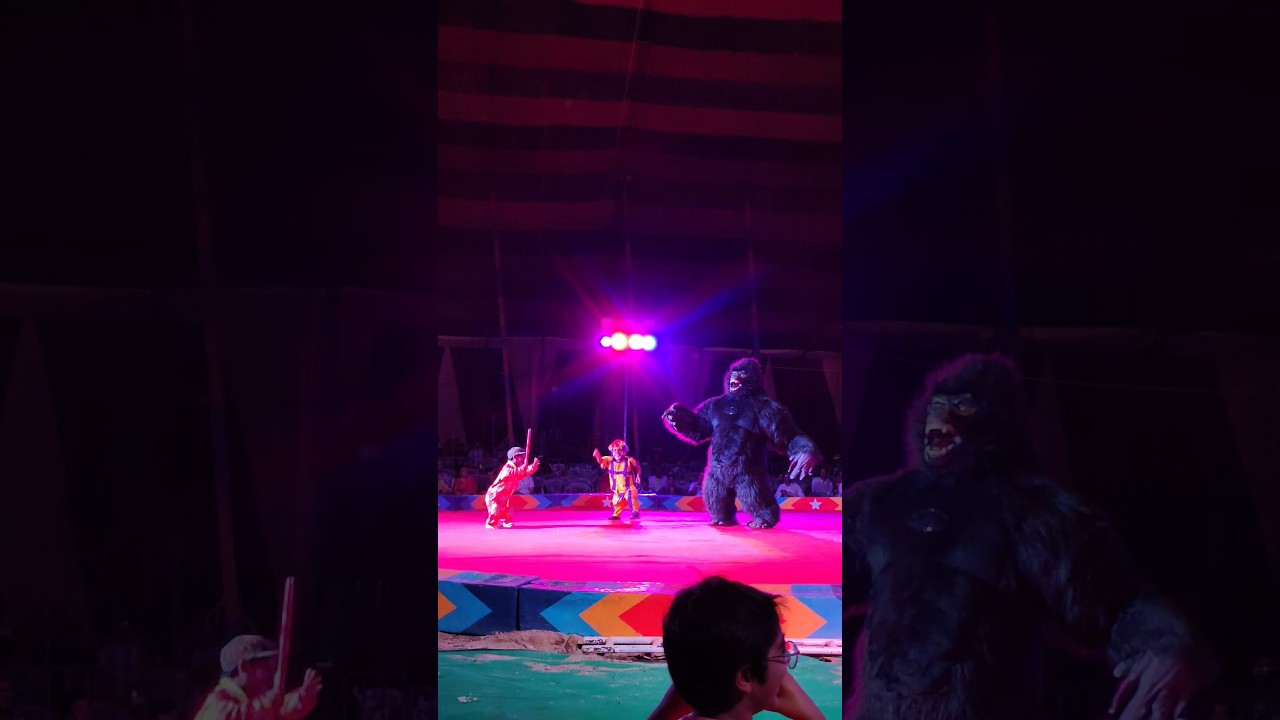 Gemini Circus in Kota Dussehra | Kota Dussehra mela |