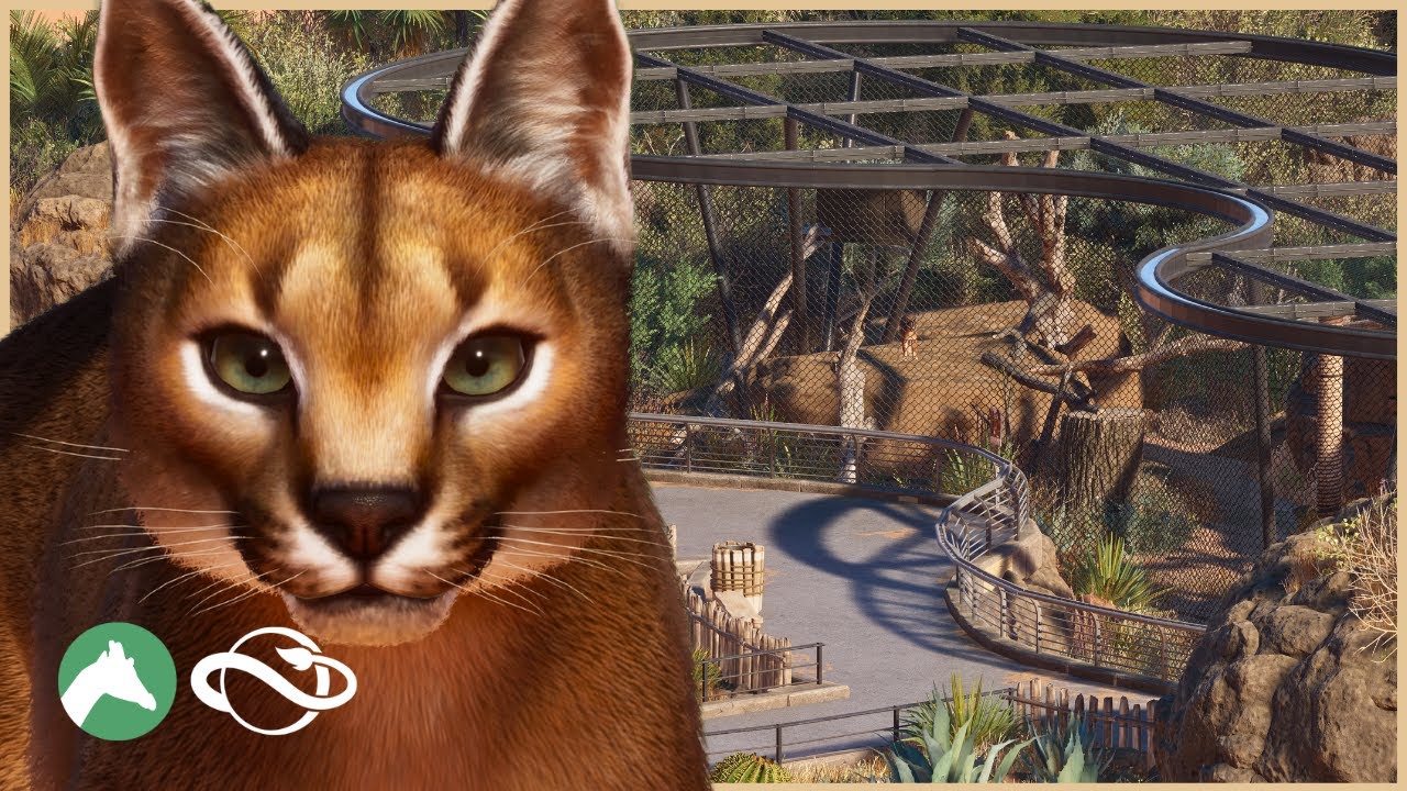 Building a CARACAL Habitat in the Desert Adventure Park! | Planet Zoo