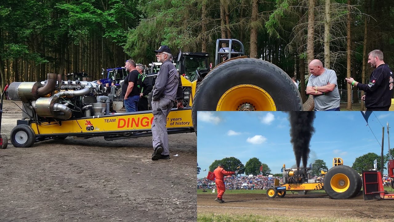 DINGO V10 TT Alfstedt 17.8.2024 Show