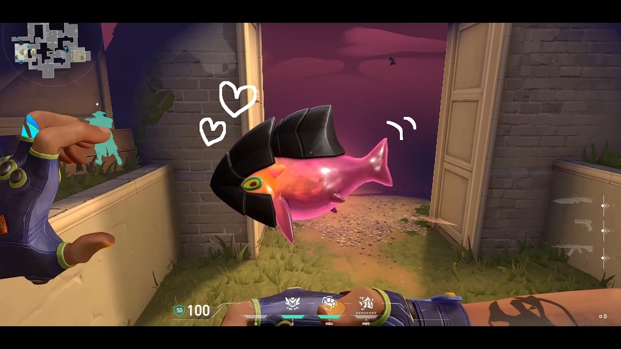 【Gekko OTP】Highlights#1