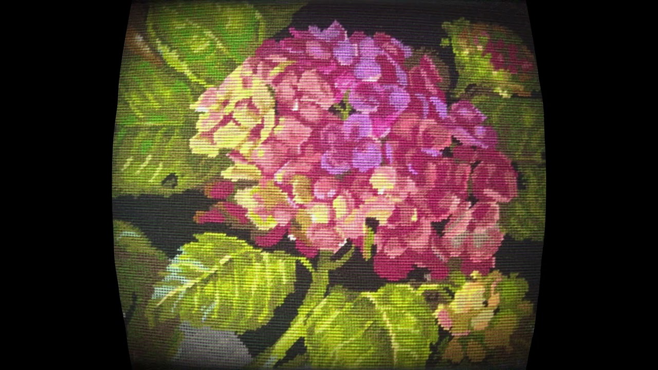Beverly Steyn