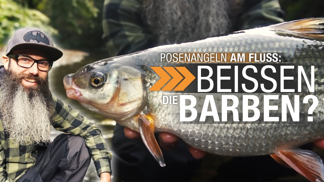 Barbenangeln mit Patrick: mit Pose und Matchrute am kleinen Fluss