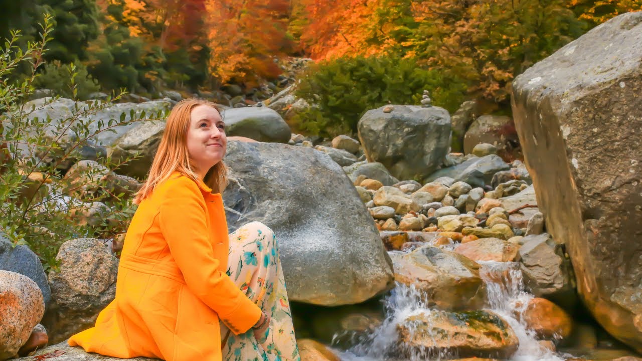 Autumn Simple Living in My French Village - STORY 2