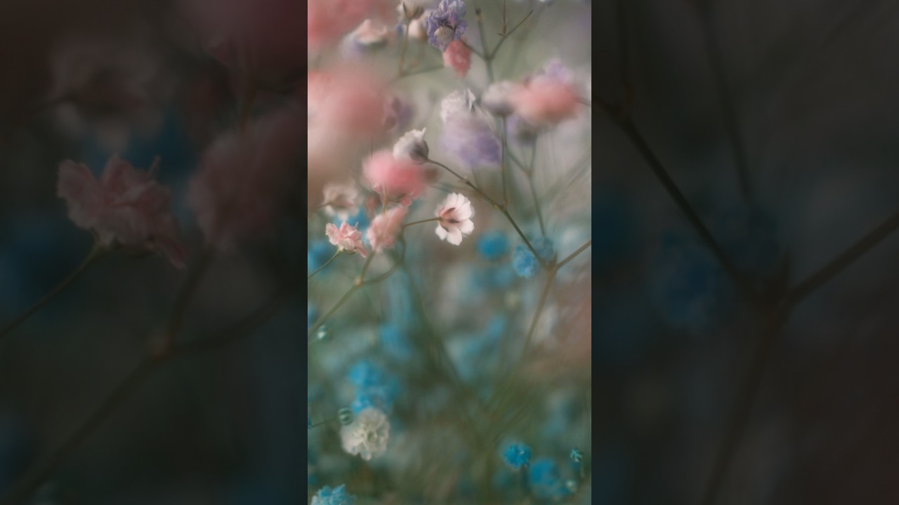 Dreamy Pastel Film Recipe for FUJIFILM cameras 