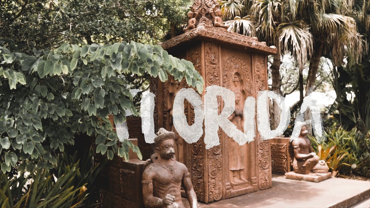 2 Weeks in Florida (short film) / LumaFusion & After Effects