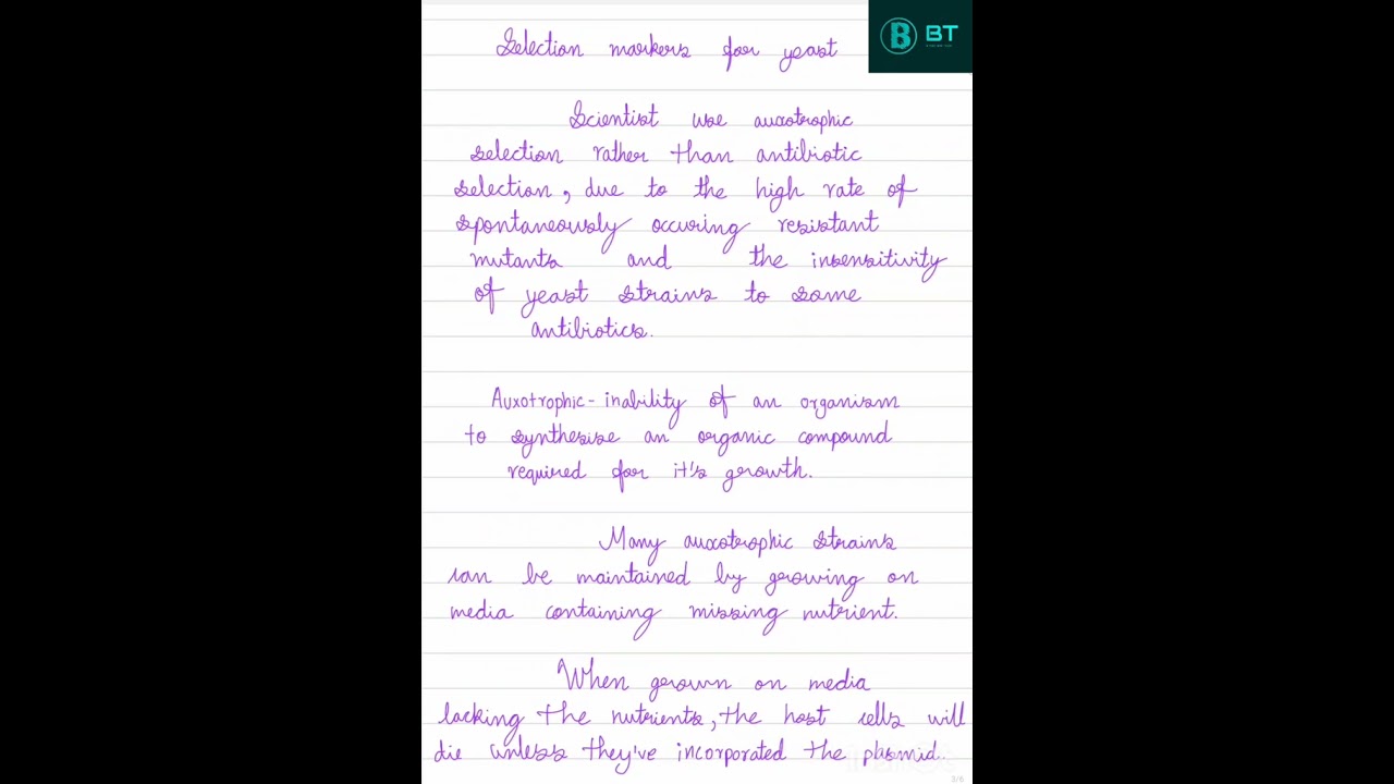 Features Of Shuttle Vectors Short Explanation