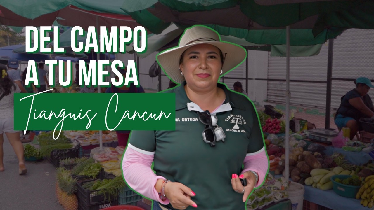 Del campo a Cancún: Conociendo a los productores de Bacalar | El Camino de una tianguista verde