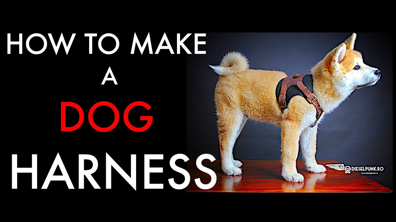 DIY Dog Harness - Tutorial and Pattern Download