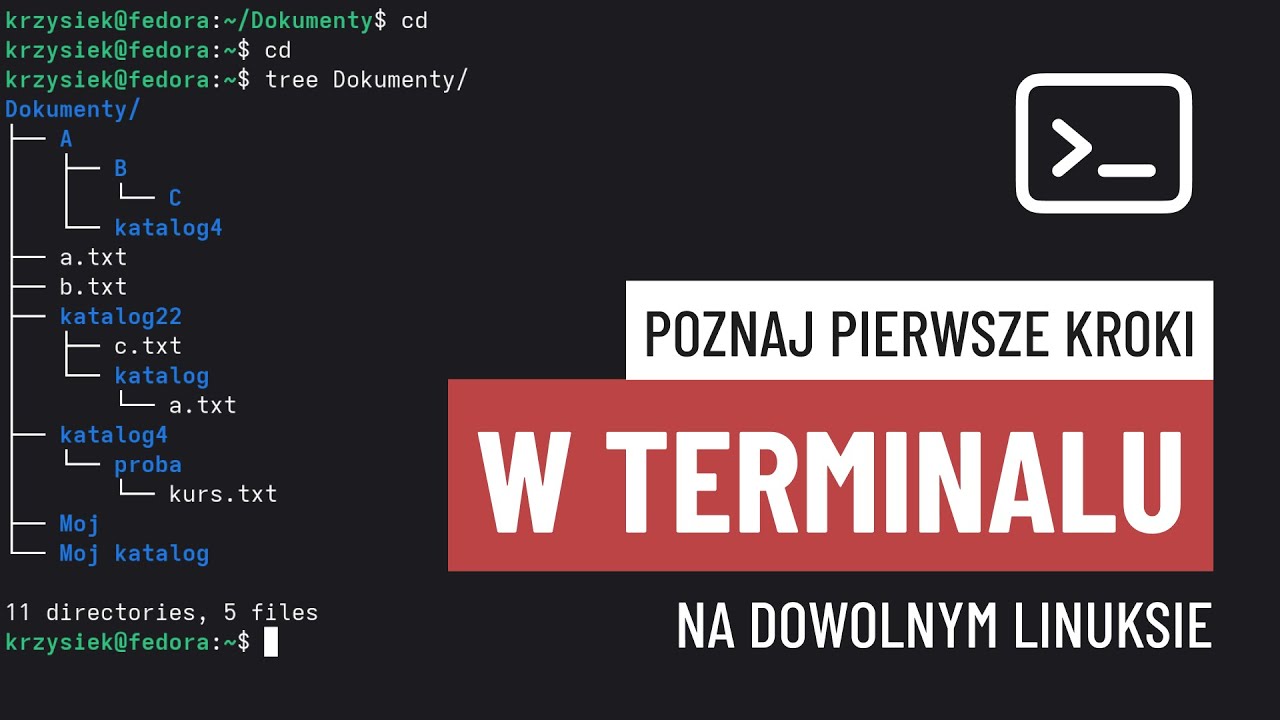 Pierwsze kroki w konsoli - nawigacja po Linuksie w terminalu DLA TOTALNYCH NOWICJUSZY