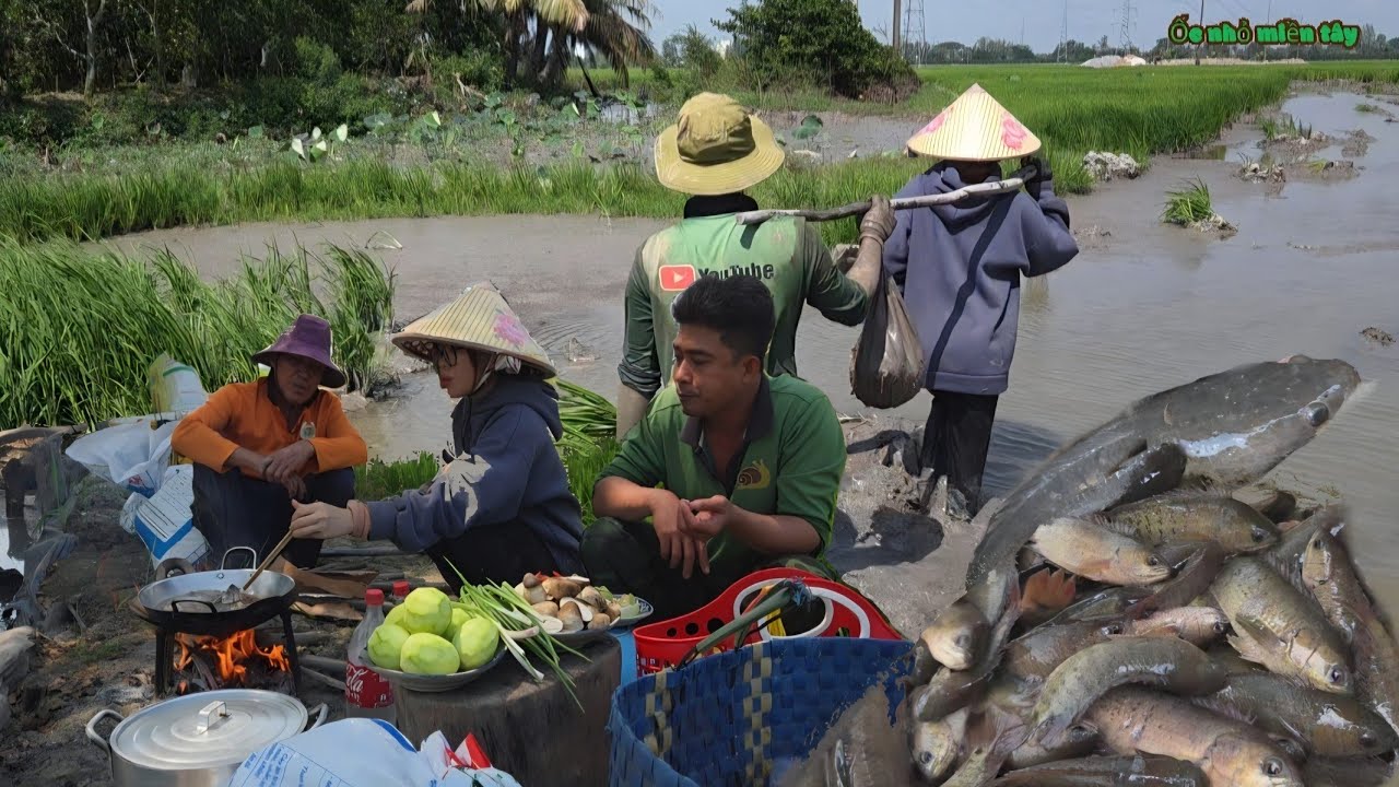 Truy Lùng Trúng Ổ Rô Đồng, Thọc Hang Sâu Gặp Cá Lóc_Làm Món Này Kho Nấm Rơm Thật Ngon| ONMT #Tập 193