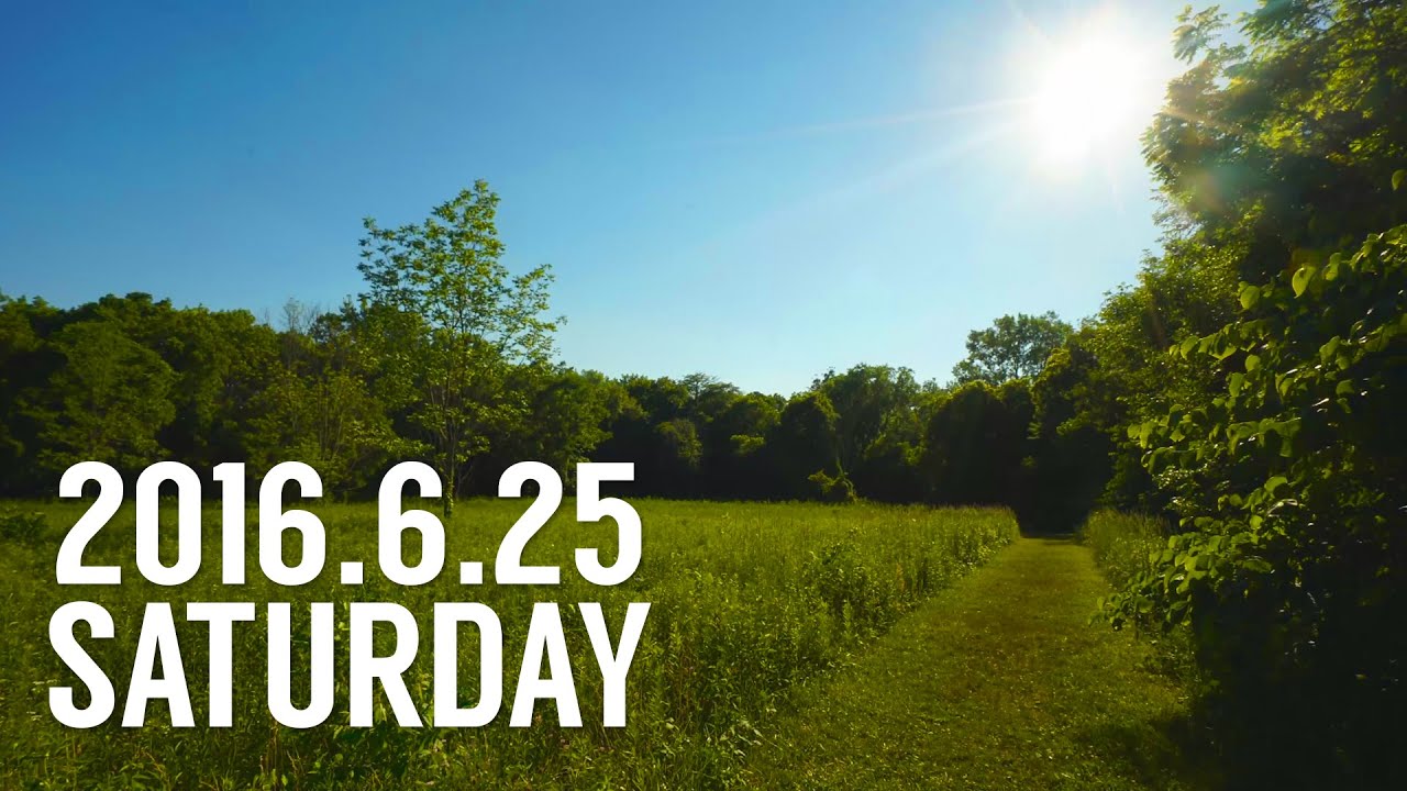 HIKING Englewood Metropark