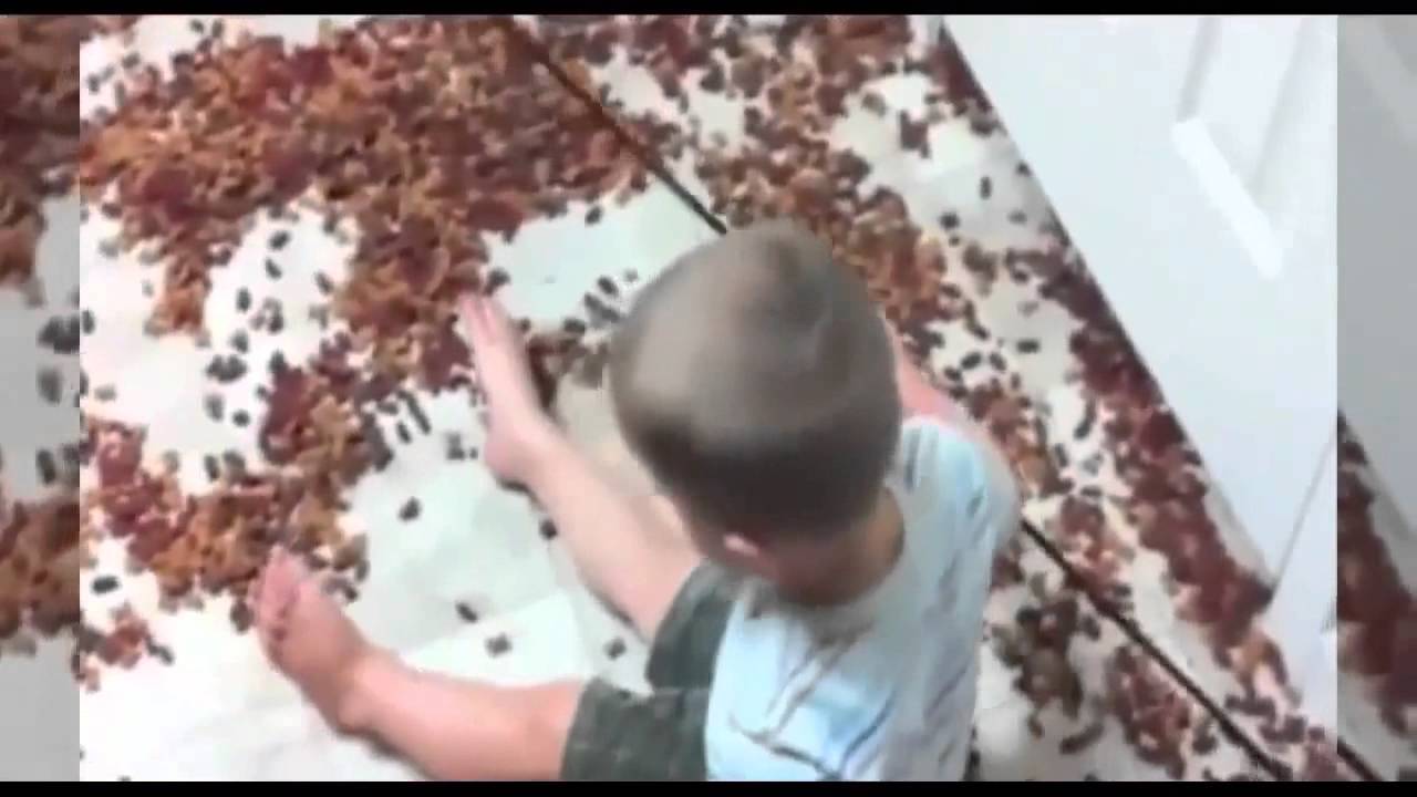 Ultimate Fails Compilation New 2014 2015 || FailArmy Best Fails Funny Sexy Video