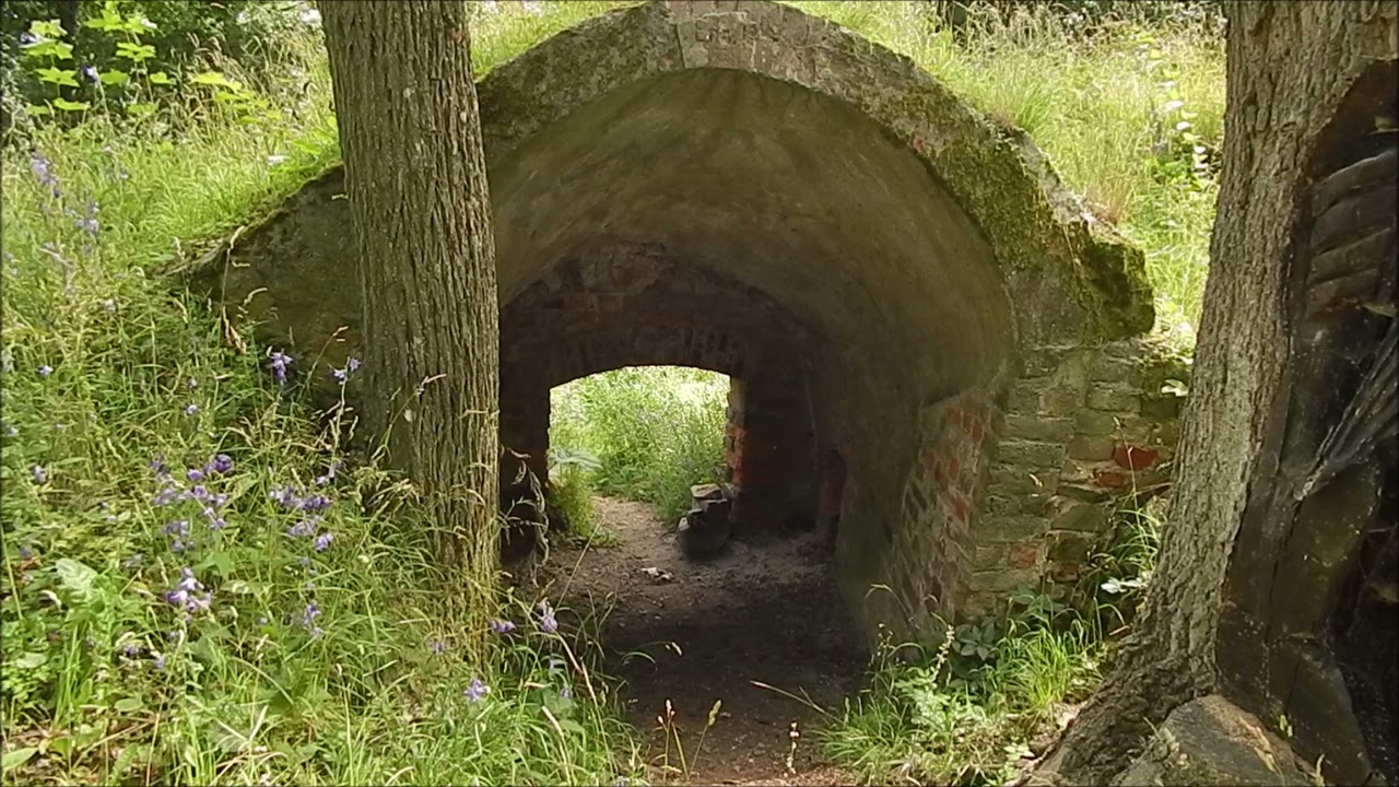 Harz -  Ein Besuch der Burgruine Anhalt (4K)