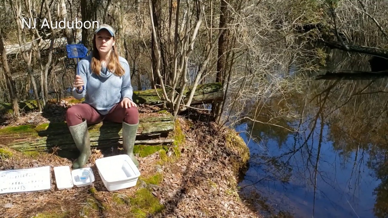 Aquatic Macroinvertebrate Sampling