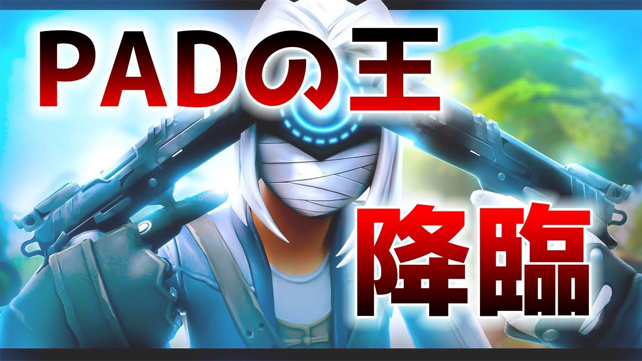 【ワンパン祭り】Reetの20キルビクロイをまとめたらキル集になったww