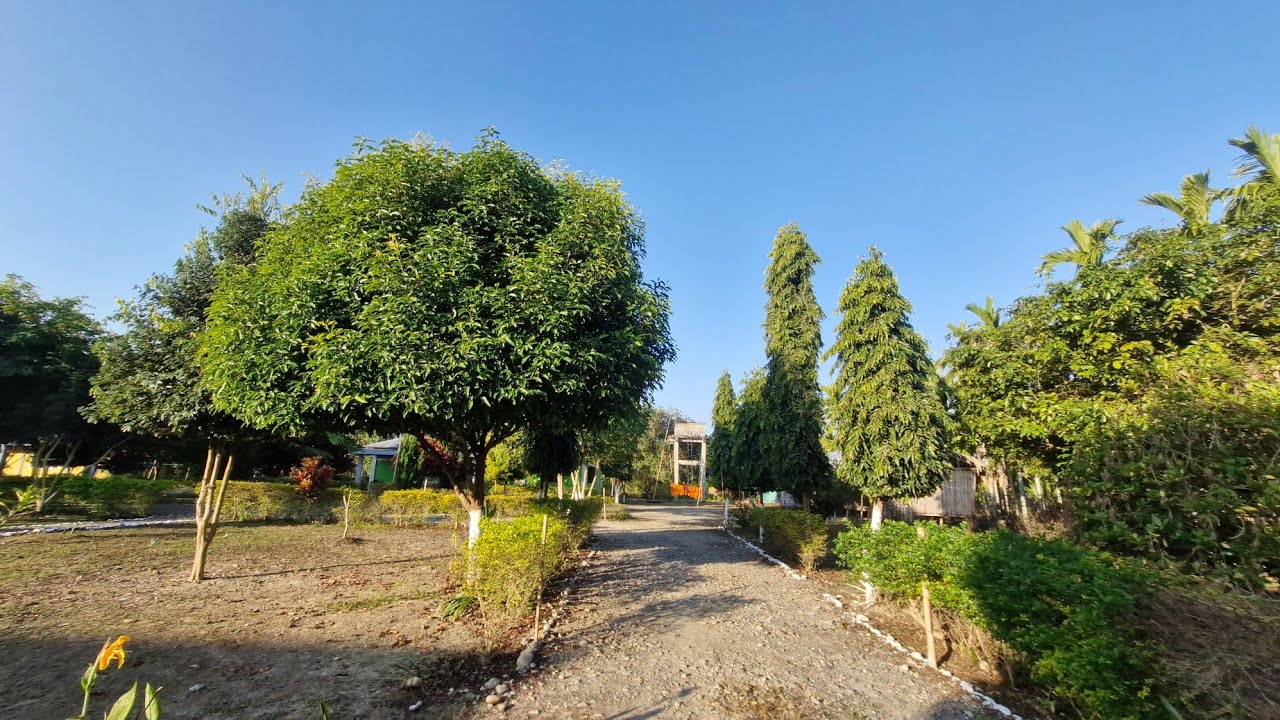 Chakma Video | Chakma Village in Arunachal Pradesh | Chakma language | Ratnapur