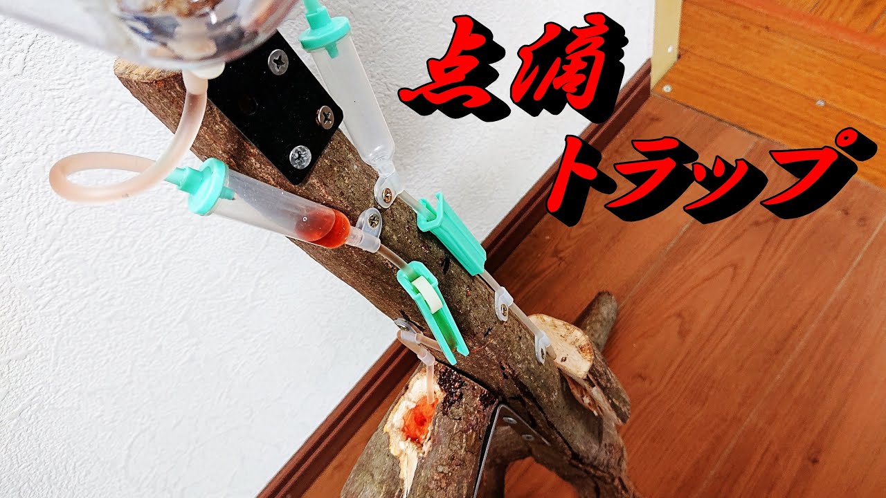 【クワガタトラップ】人工樹液マシーン作製、その名も点滴トラップ！！