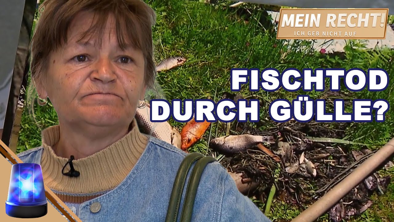 Aus dem Gerichtssaal geworfen: Klienten kämpfen um Fischteich | Mein Recht! Ich geb nicht auf | ATV