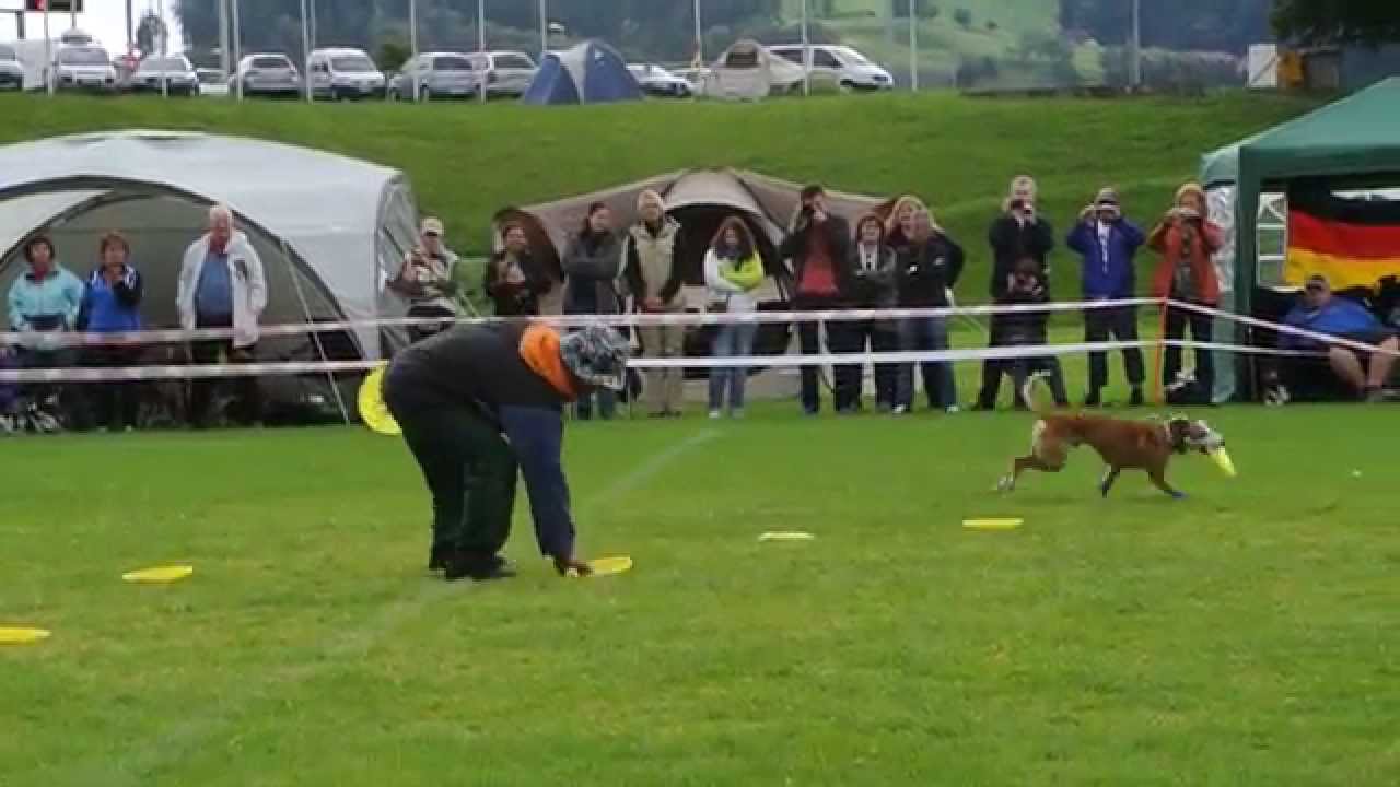 Yachi Hirai & Vega Hundefrisbee EM St.Gallen