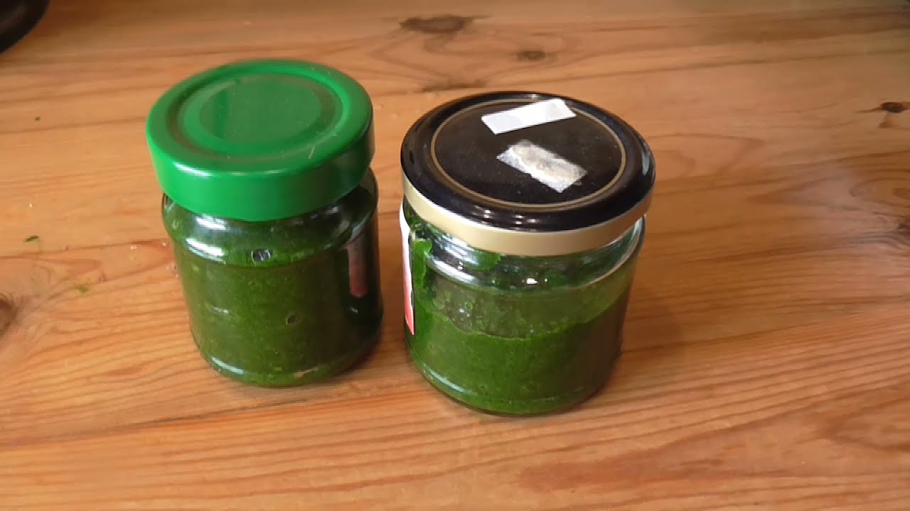 Pesto z medvědího česneku.