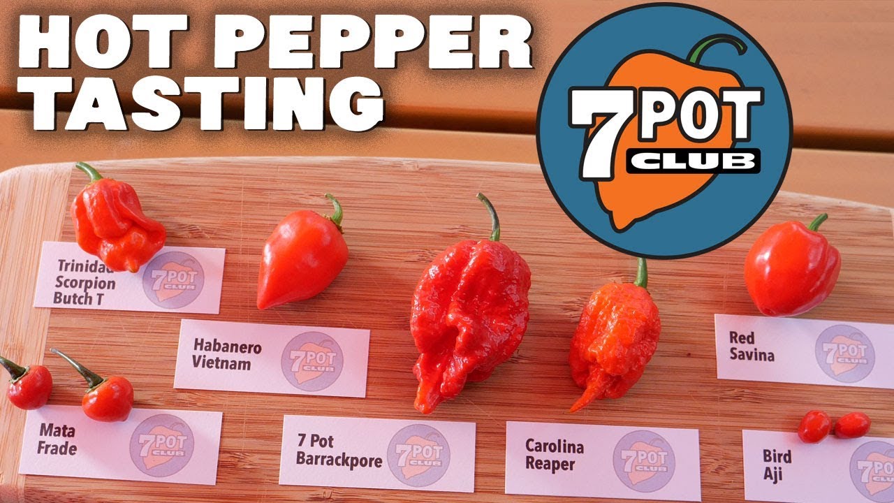 Обзор моих 7 любимых Red Hot Peppers