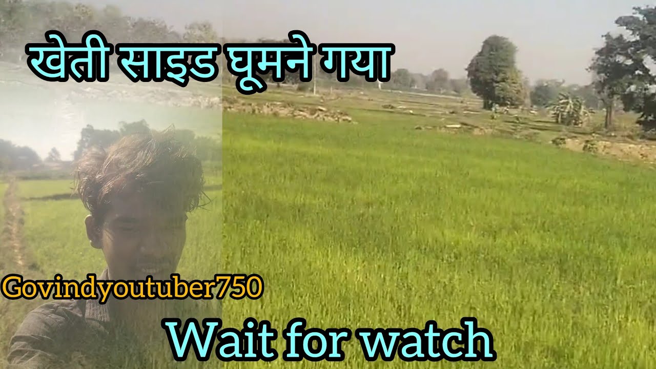 खेती कृषि काम ।। Kheti#krishi kam 🫒🌽