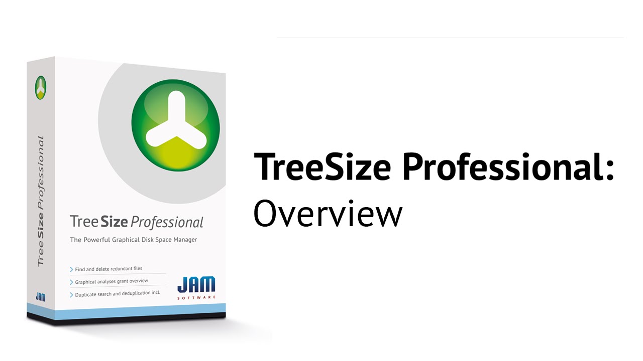 TreeSize Professional - Overview