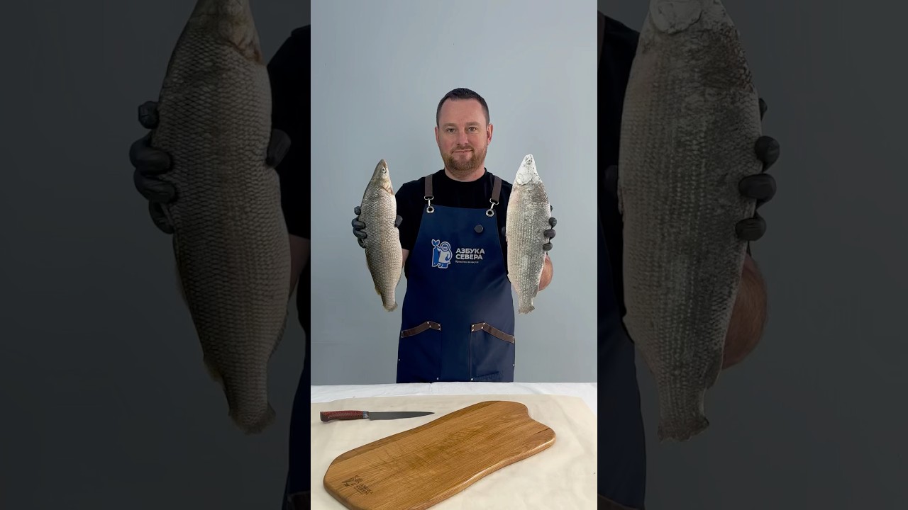 🐠Как разделать сига: пошаговая инструкция от 