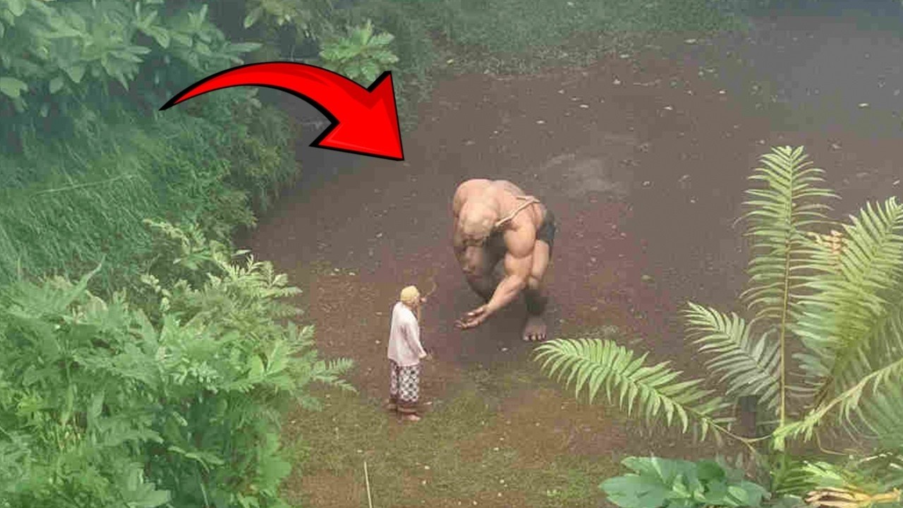 На Камеру Попало Такое, Что Никто Не Ожидал Увидеть!