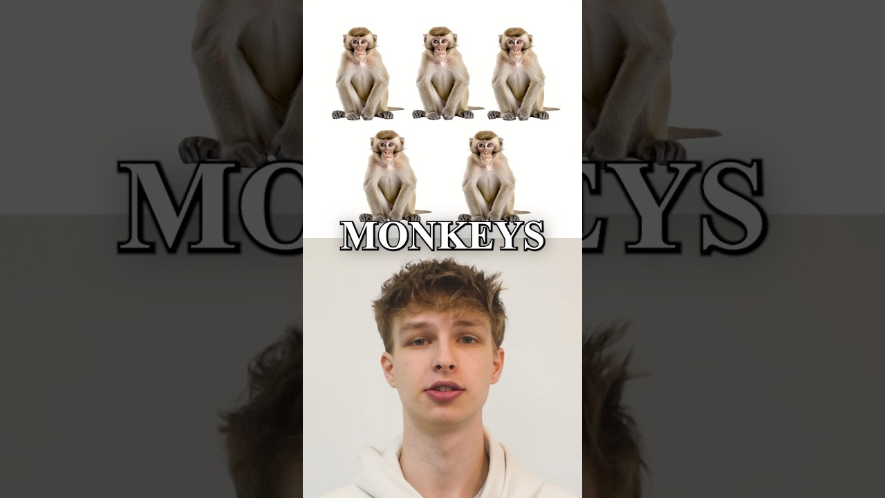 Mushrooms Improved Monkeys Health!? #monkey #monkeys #animalstudies #health #animals