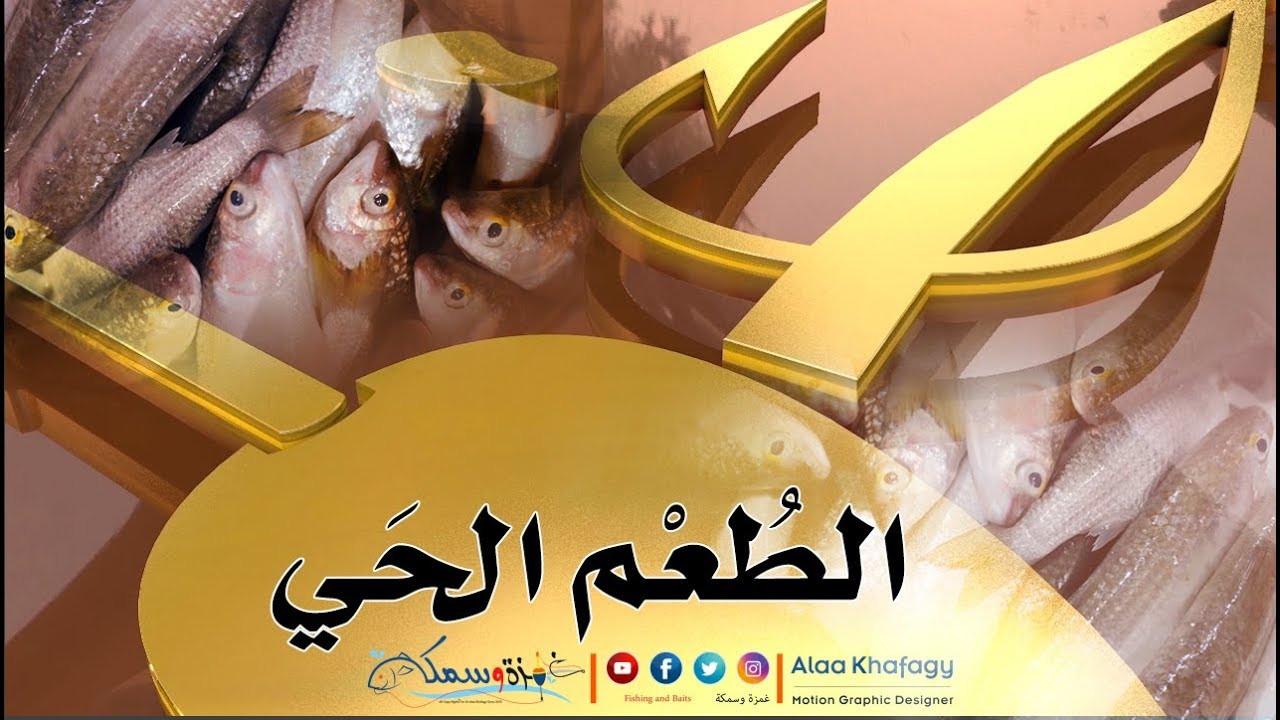 طريقة صيد الطعم الحي من البحر