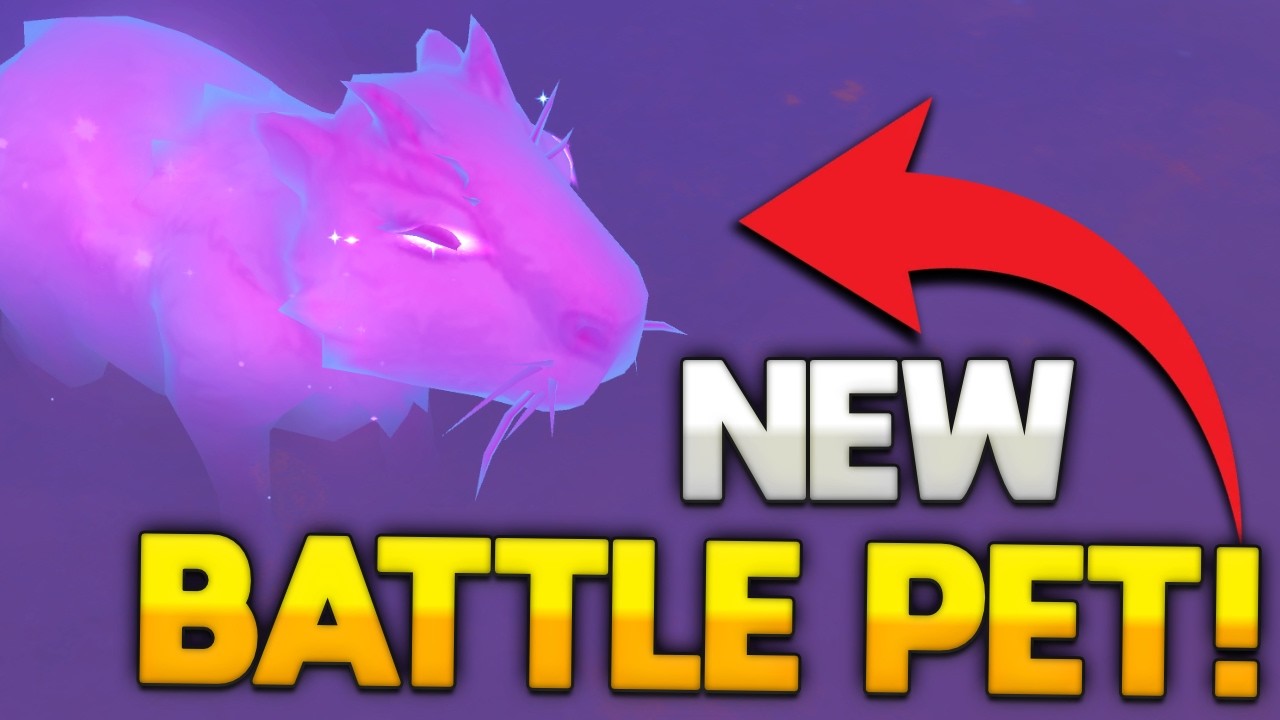 В Гортаме очень легко найти жилье!!