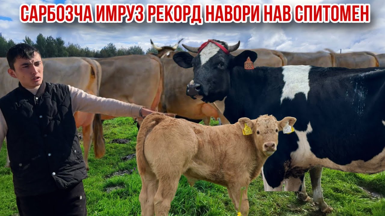 9 сар мрлҳои арзон Сарбозча Ярмарка давом дорад 13 марта 2026 г.