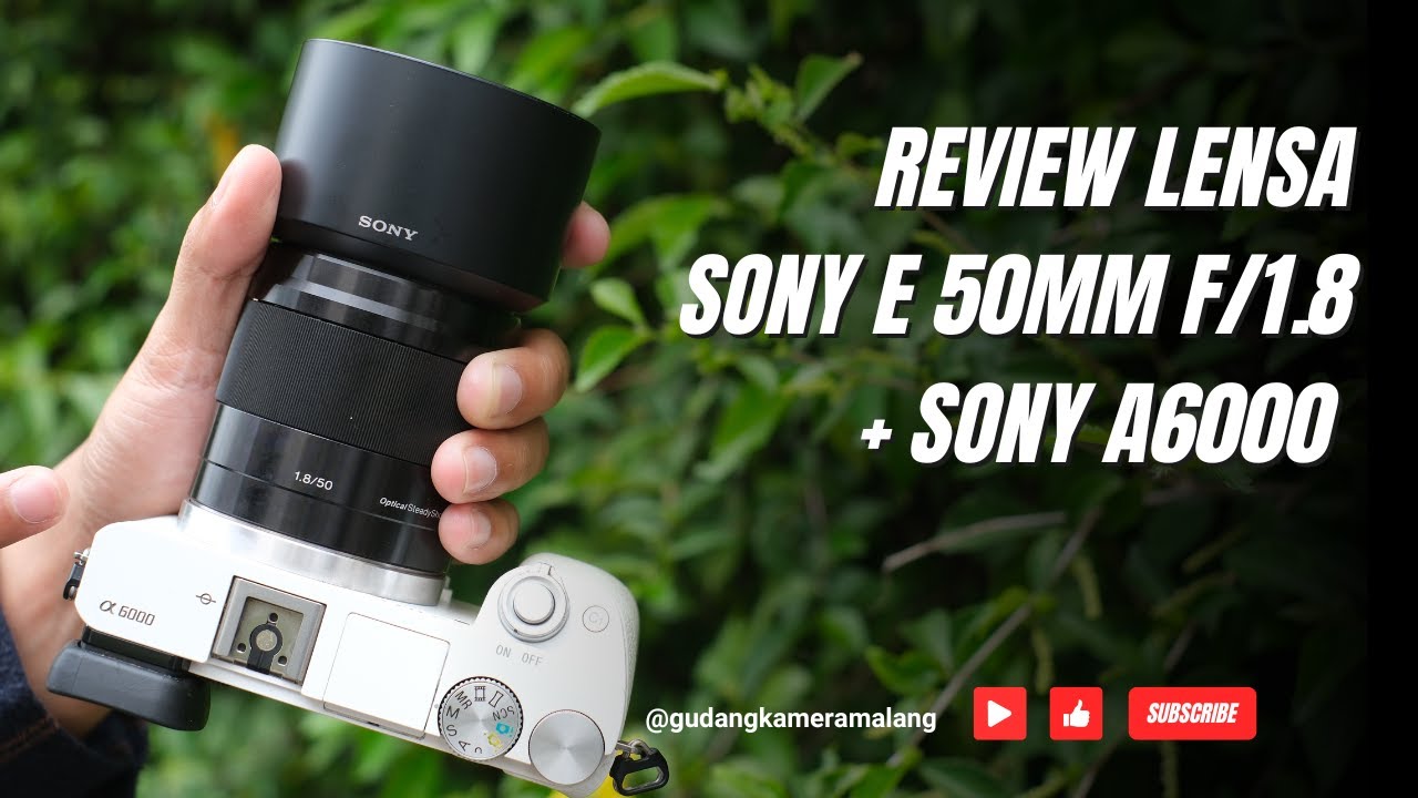 Review SONY A6000 + E 50mm f/1.8 OUTDOOR di Tahun 2025