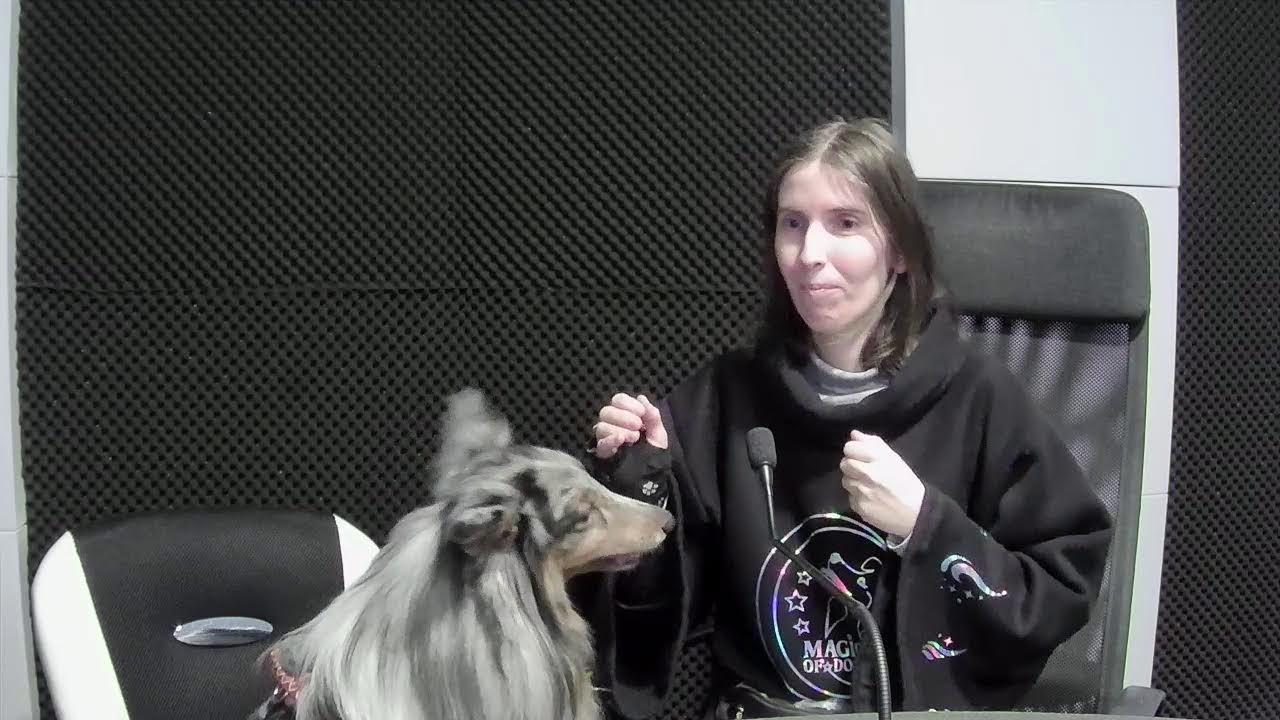 Hogyan tegyük izgalmasabbá az állataink életét? Vendégeink a Magic of dogs Kutyaiskola alapítói