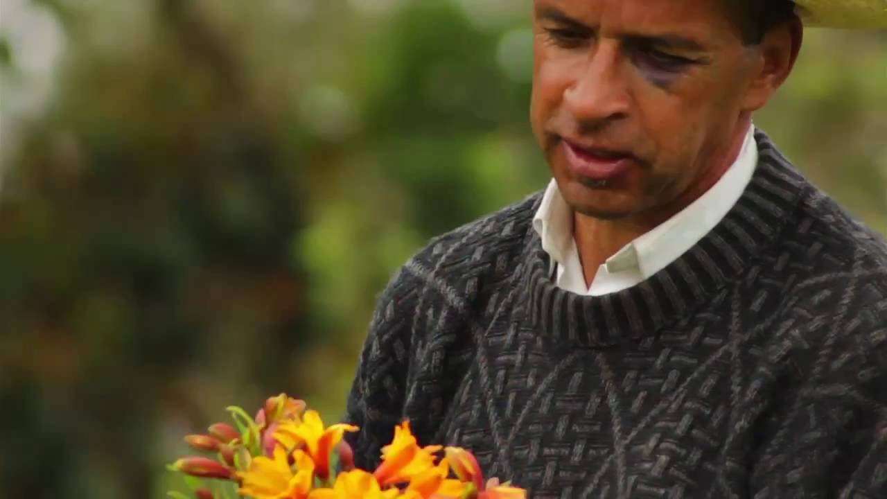 A Day in the Life of a Flower Grower in Medellín Colombia - TvAgro By Juan Gonzalo Angel