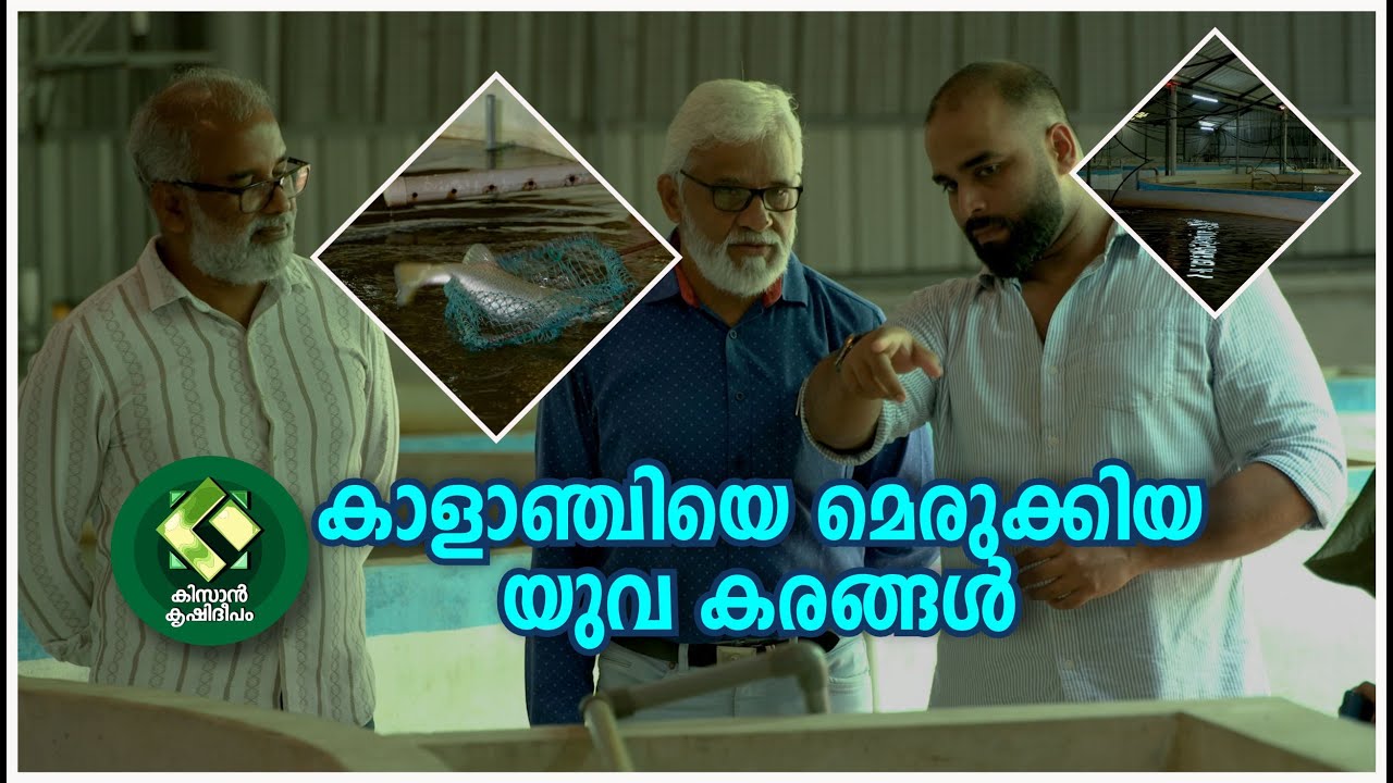 Kissan Krishideepam Episode-1128 The hands of a youth who tamed the Asian sea bass